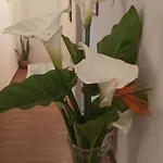 New