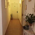 New Bed & Breakfast Palermo