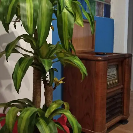 New