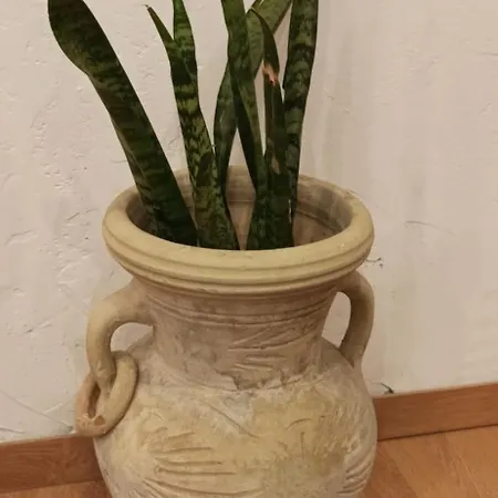 New